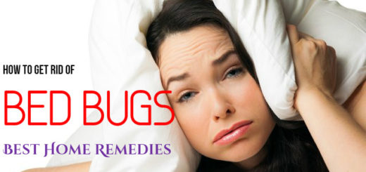 Get Rid Of Bed Bugs