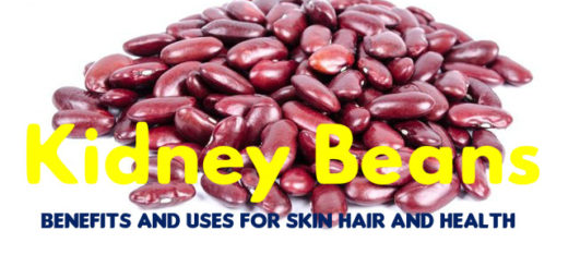 Kidney Beans Benefits Uses