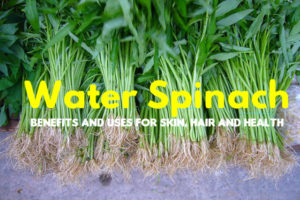 Water Spinach Benefits Uses