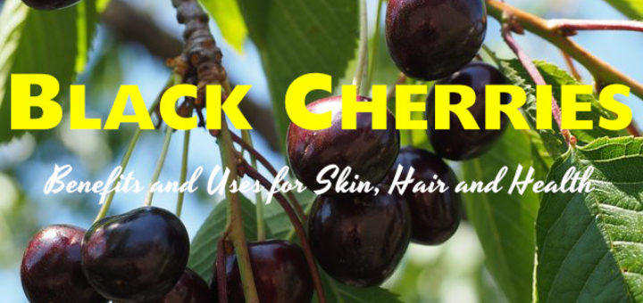 Black Cherries Benefits Uses