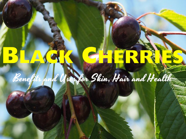 Black Cherries Benefits Uses