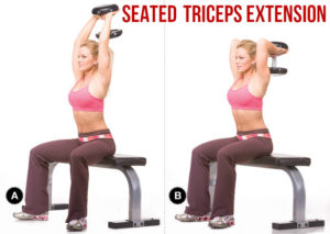 Seated Triceps Extension