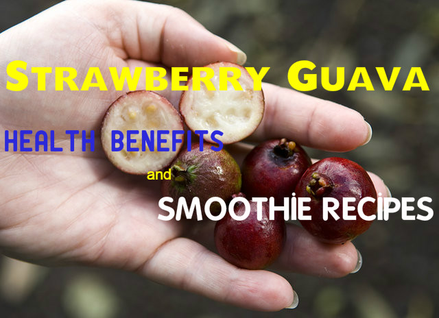 Strawberry Guava Health Benefits