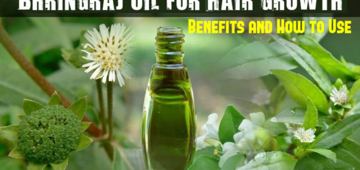 Bhringraj Oil for Hair Growth