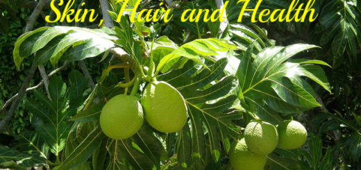 Breadfruit Benefits and Uses