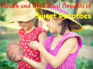 Sweet Potatoes Health Medicinal Benefits