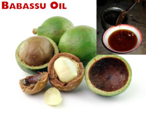 Babassu Oil