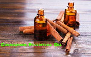 Cinnamon Essential Oil