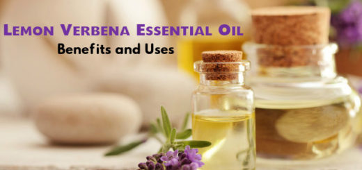 Lemon Verbena Essential Oil