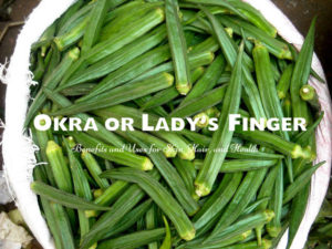 Okra or Lady’s Finger Benefits