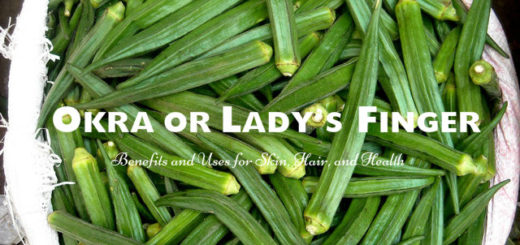 Okra or Lady’s Finger Benefits