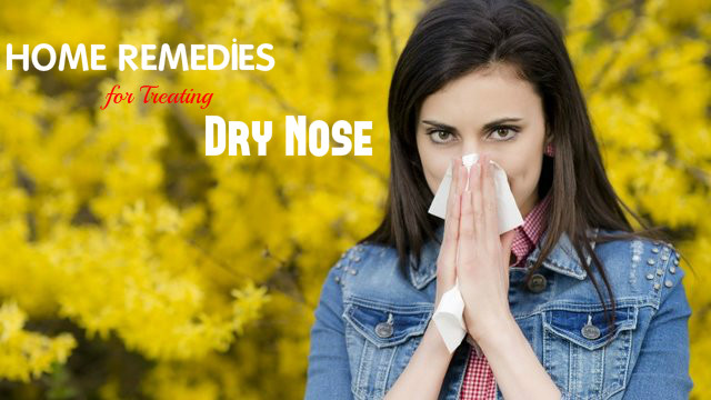 Home Remedies for Dry Nose