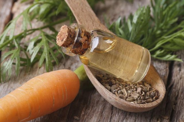 Carrot seed oil benefits