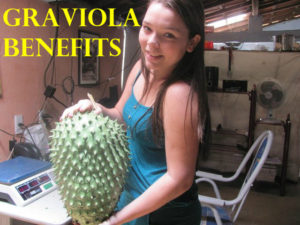 Graviola Benefits Uses