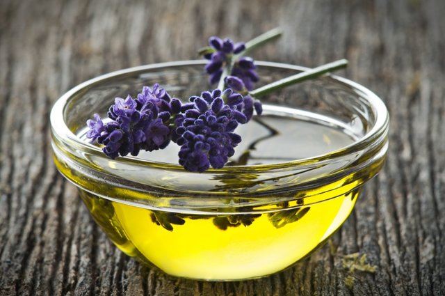 Lavender oil benefits uses