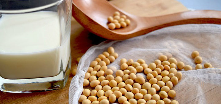 Soy Proteins Side Effects