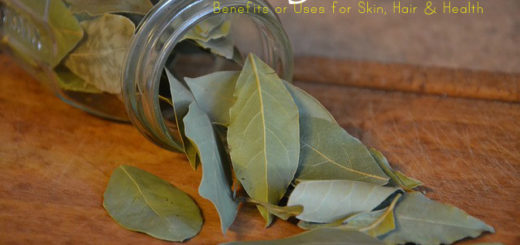 Bay Leaf Benefits Uses