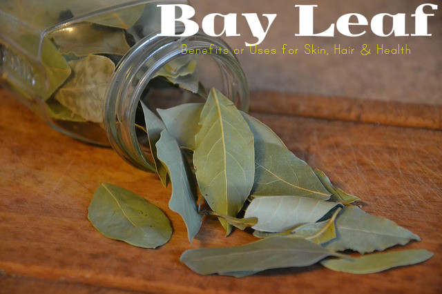 Bay Leaf Benefits Uses