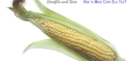 Corn Silk Benefits Uses