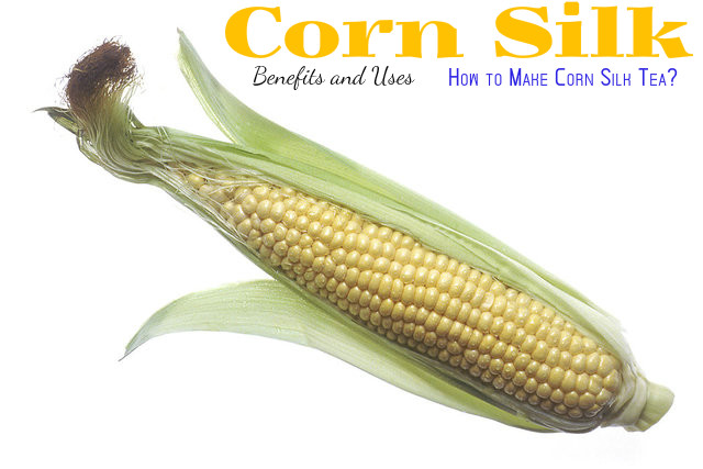 Corn Silk Benefits Uses