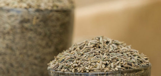 Cumin Seeds Side Effects