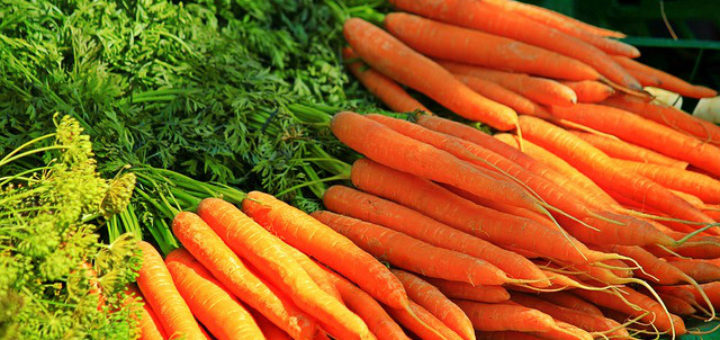 Eating Too Many Carrots