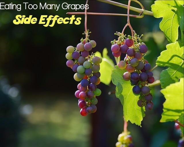 Grapes Side Effects
