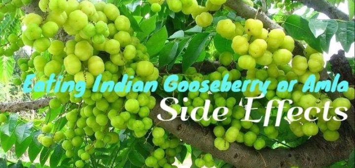 Indian Gooseberry Side Effects
