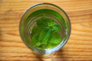 Mint Water Benefits Uses