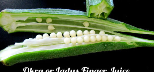 Okra or Ladys Finger Juice
