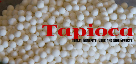 Tapioca Health Benefits Uses