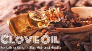 Clove Oil Benefits Uses