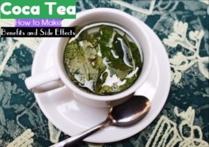 Coca Tea Benefits