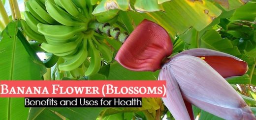 Banana Flower Benefits Uses