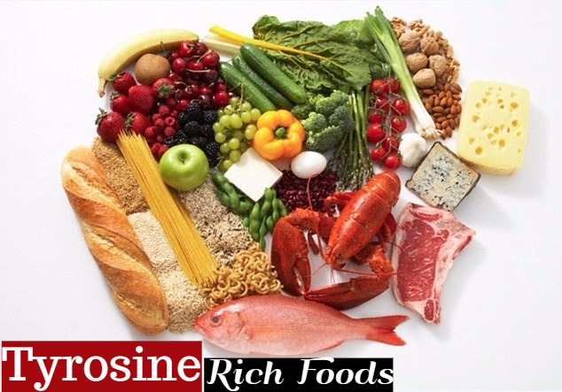 Tyrosine Rich Foods